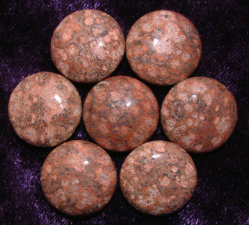 picture jasper.png