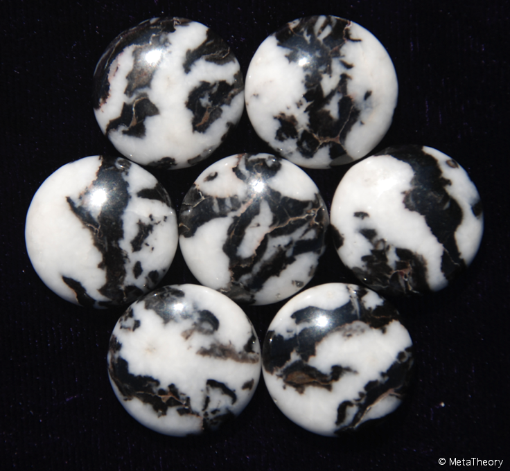 zebraagate-.png