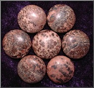 Leopard Skin Jasper.png